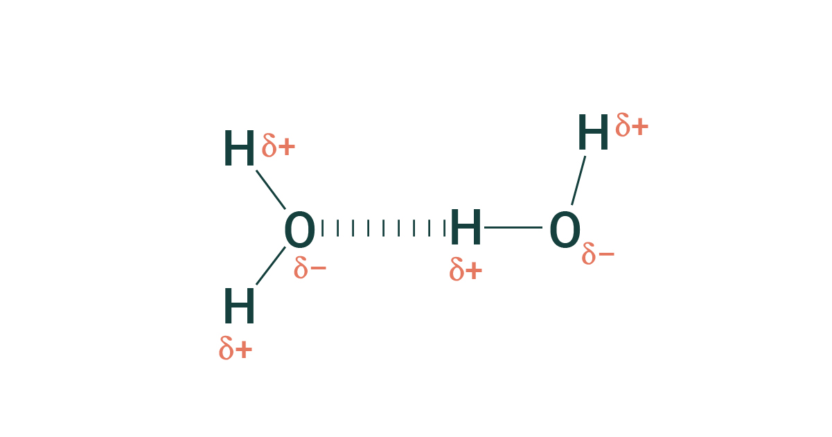 Hydrogen Bonding